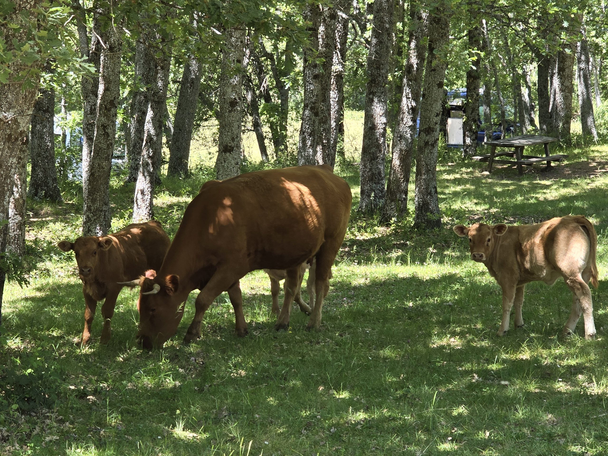 Actividades al aire libre Tu Simbiosis