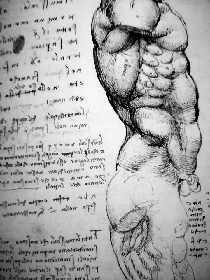 Anatomía humana aplicada a la osteopatía